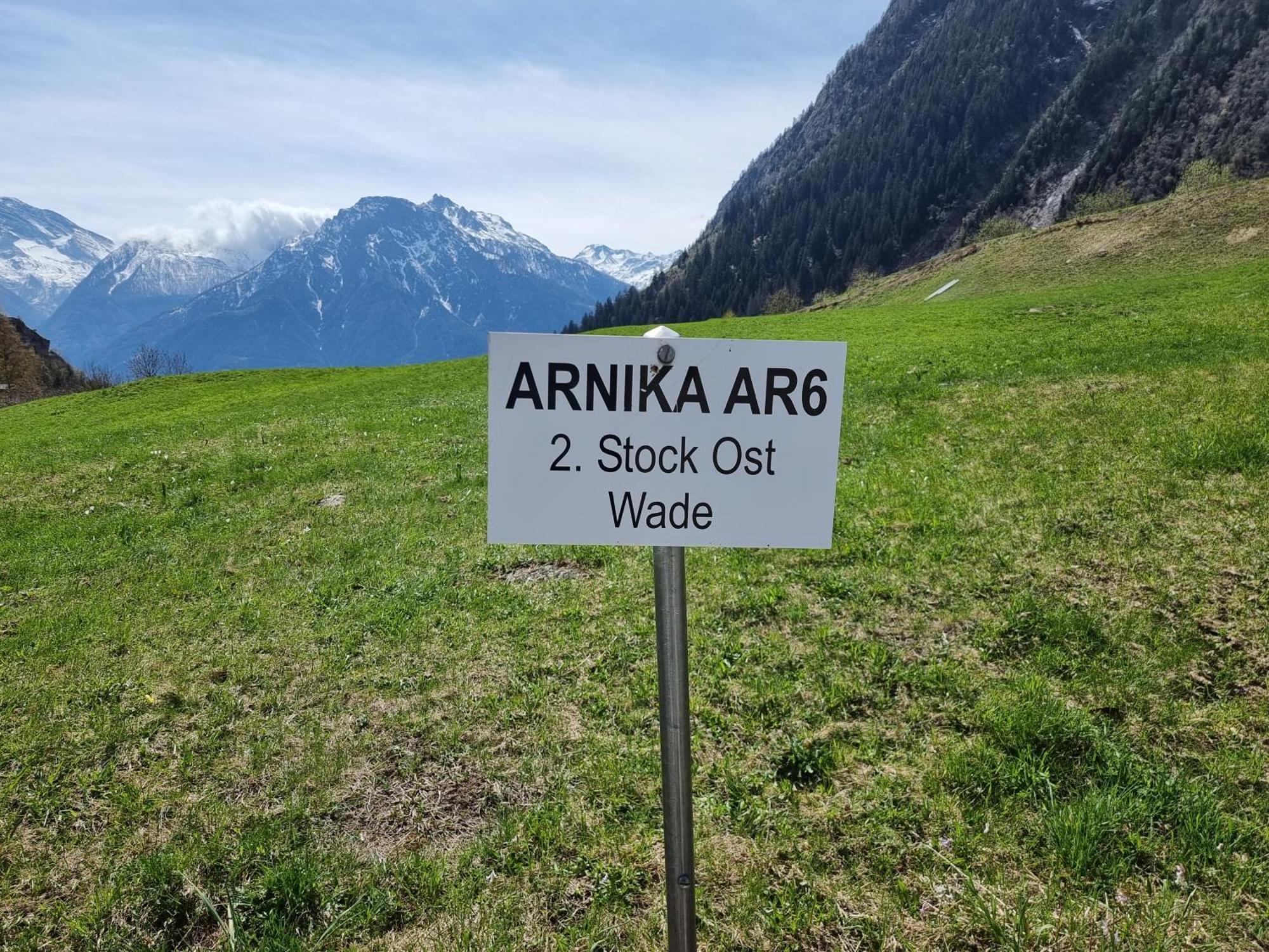 Апартаменти Arnika Блаттен-бей-Натерс Номер фото